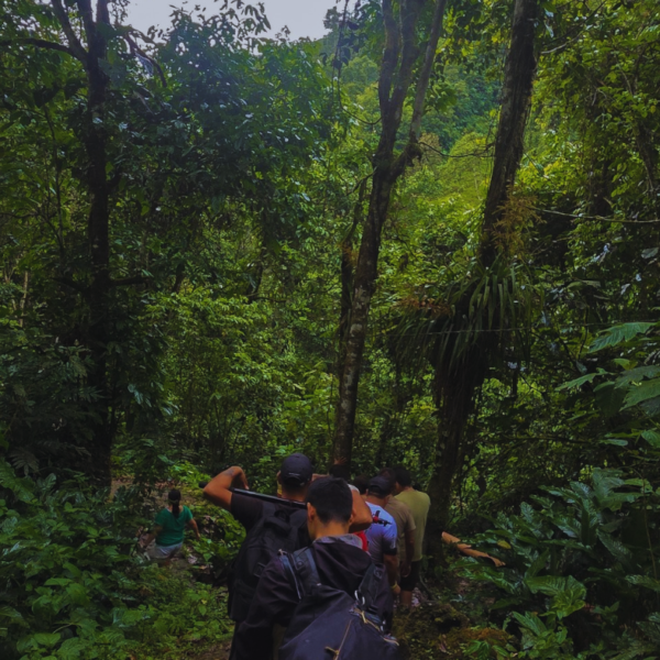 FULL DAY PEA EXTREMO (1 a 3 personas)