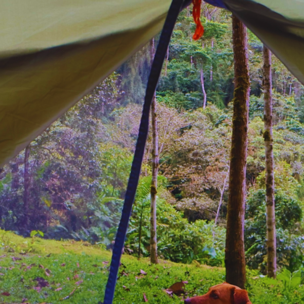 ECO CAMPING (1 PAREJA + TRANSPORTE)