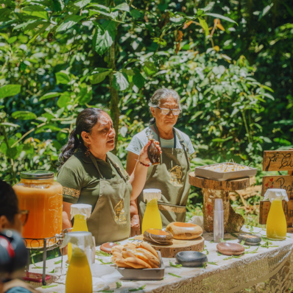 Ruta Gastronómica (1 persona)